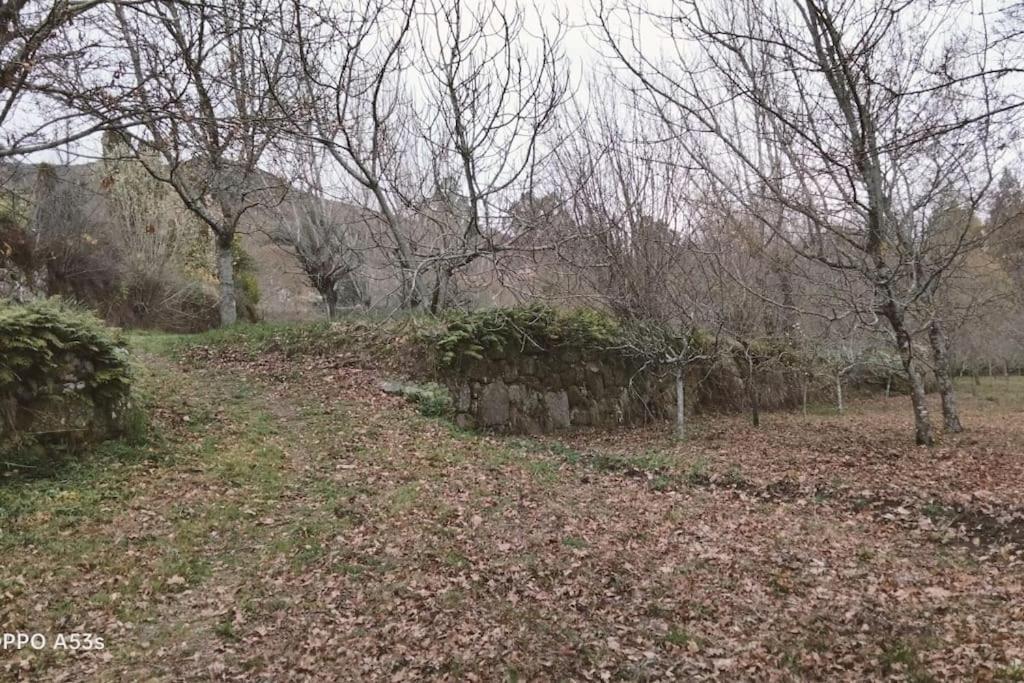 Confort, Fun And Leisure In Douro Rural Space Sande  Екстериор снимка