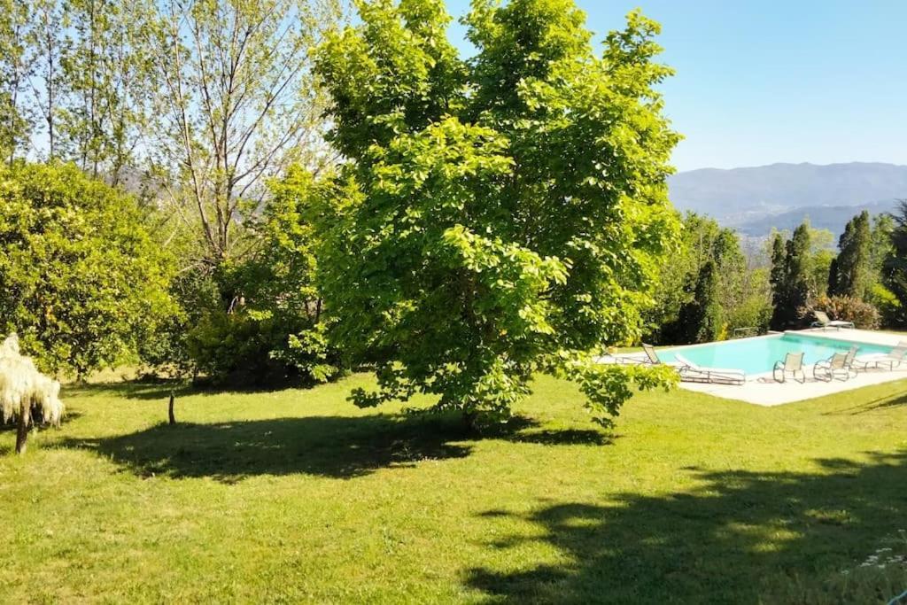 Confort, Fun And Leisure In Douro Rural Space Sande  Екстериор снимка