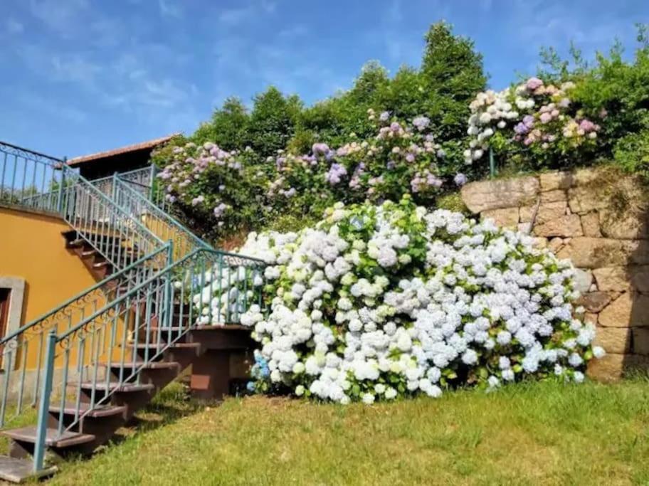 Confort, Fun And Leisure In Douro Rural Space Sande  Екстериор снимка