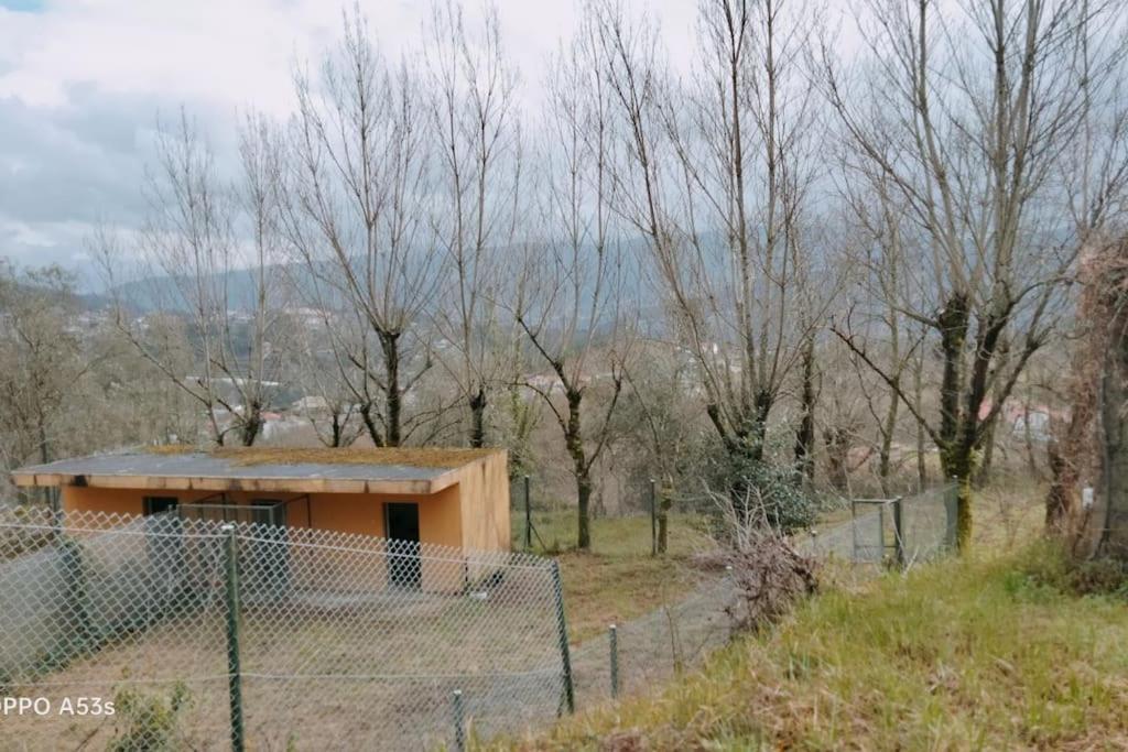 Confort, Fun And Leisure In Douro Rural Space Sande  Екстериор снимка